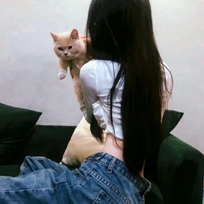 手铐情人